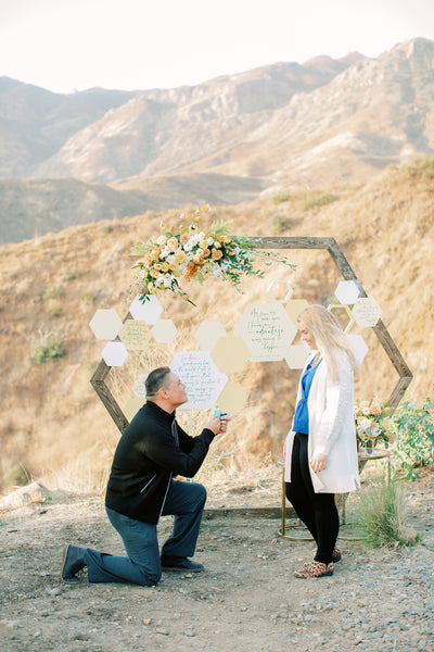 Sweet as Honey Malibu Proposal by the yes girls