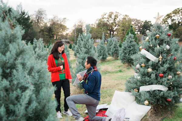 christmas-tree-farm-proposal