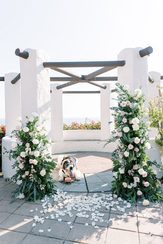 private scenic gazebo proposal set up with the yes girls