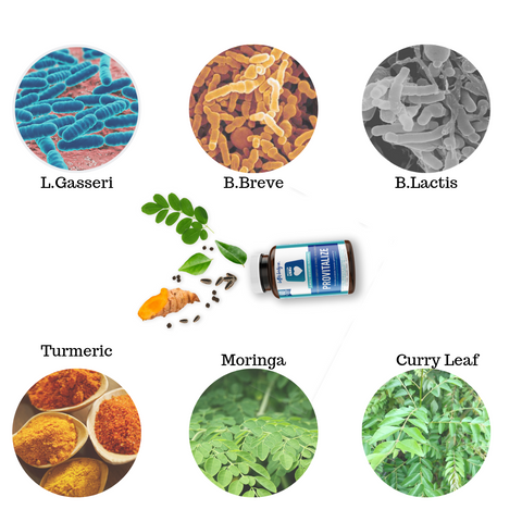 Provitalize, probiotics, curcumin, turmeric, moringa, curry leaf