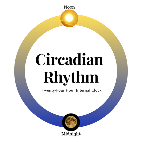 circadian rhythm, sleep cycle, insomnia