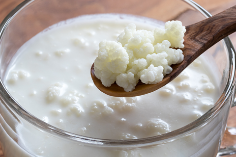 kefir probiotic foods for weight loss