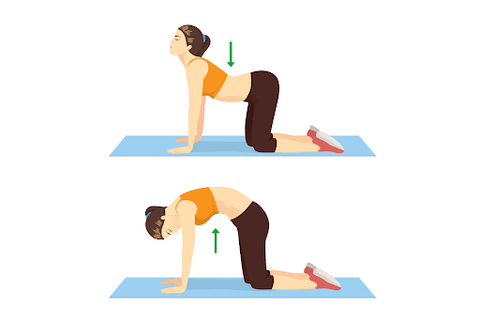 Yogacharya Amit Dev - With the backbend of Chakrasana, the spinal cord  strengthens, along with the internal organs such as the liver, pancreas,  and kidney. This asana allows blood flow to the