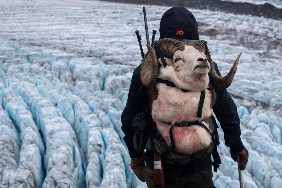 Stone Glacier Alaska Chugach Dall Sheep Hunt