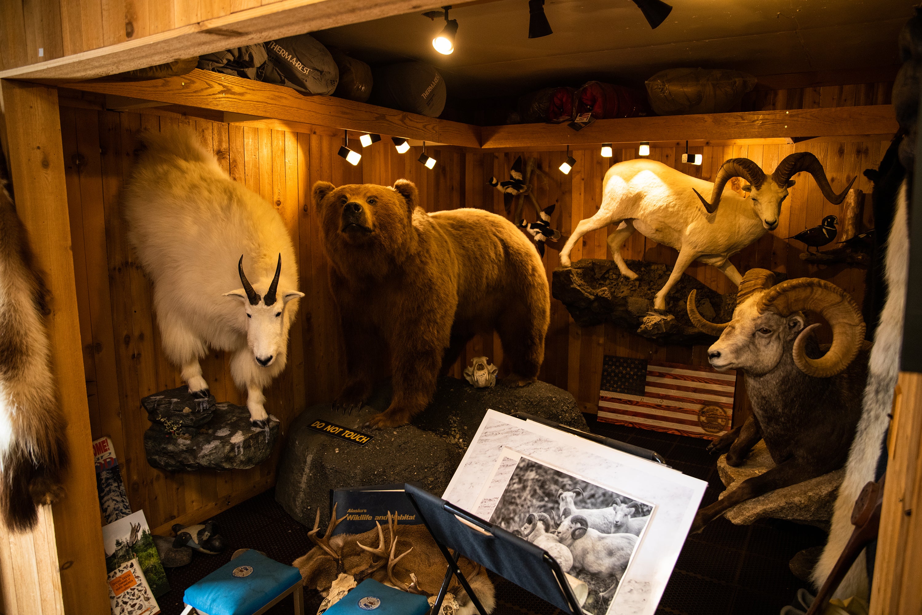 Barney's Sports Chalet trophy room