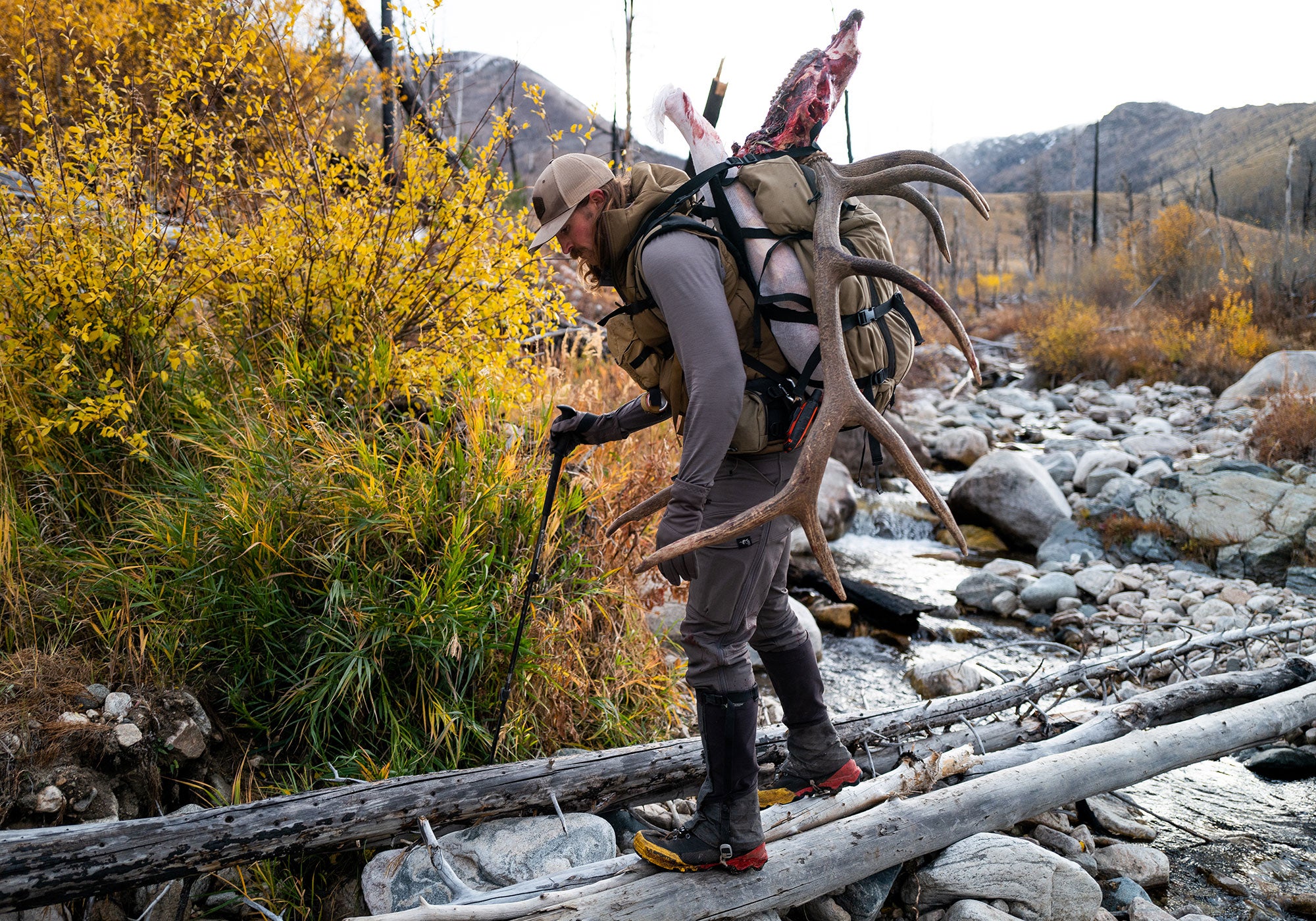 Hunter hauling elk across creek