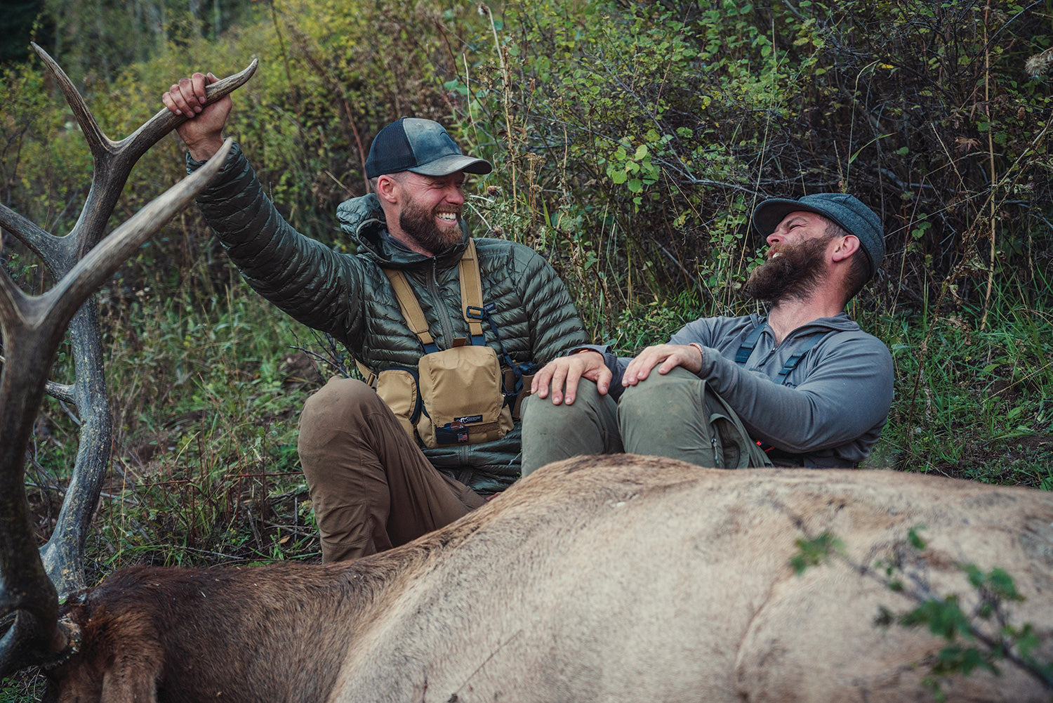 Hunters with bull elk