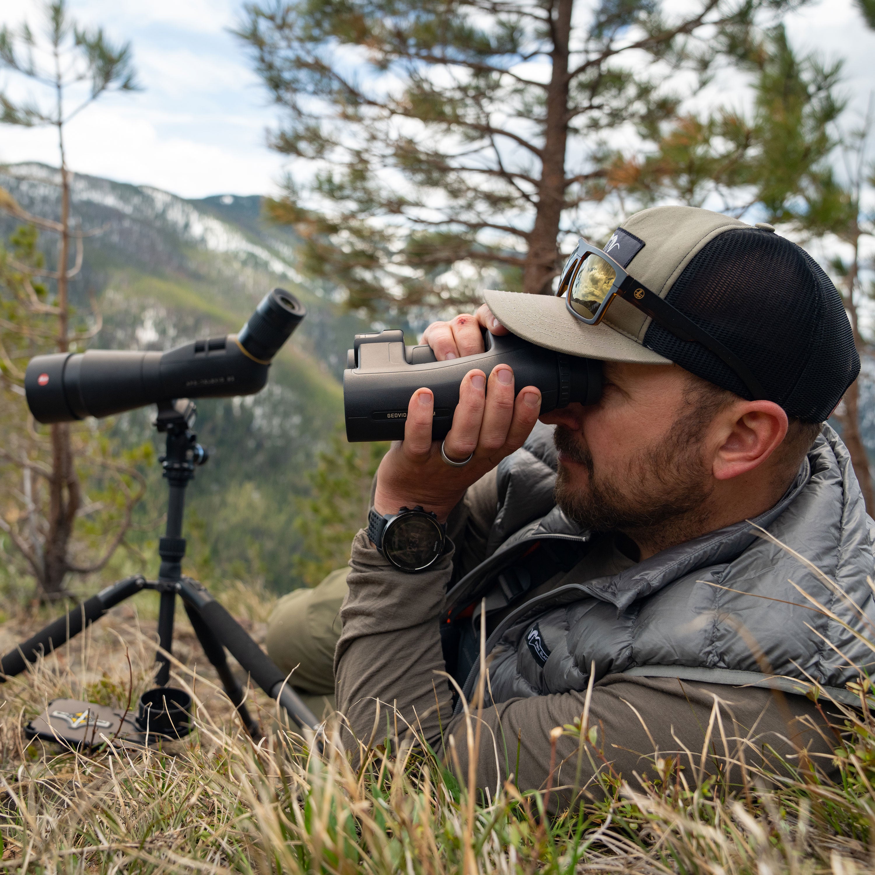 Hunter glassing for black bear