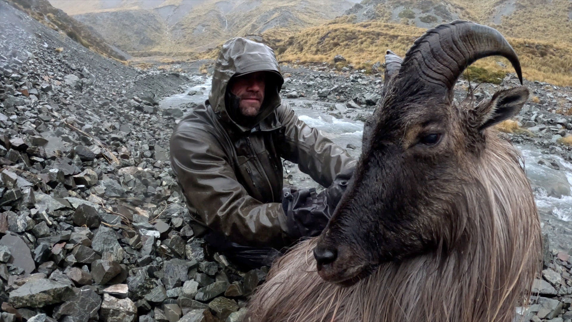 Hunter with tahr