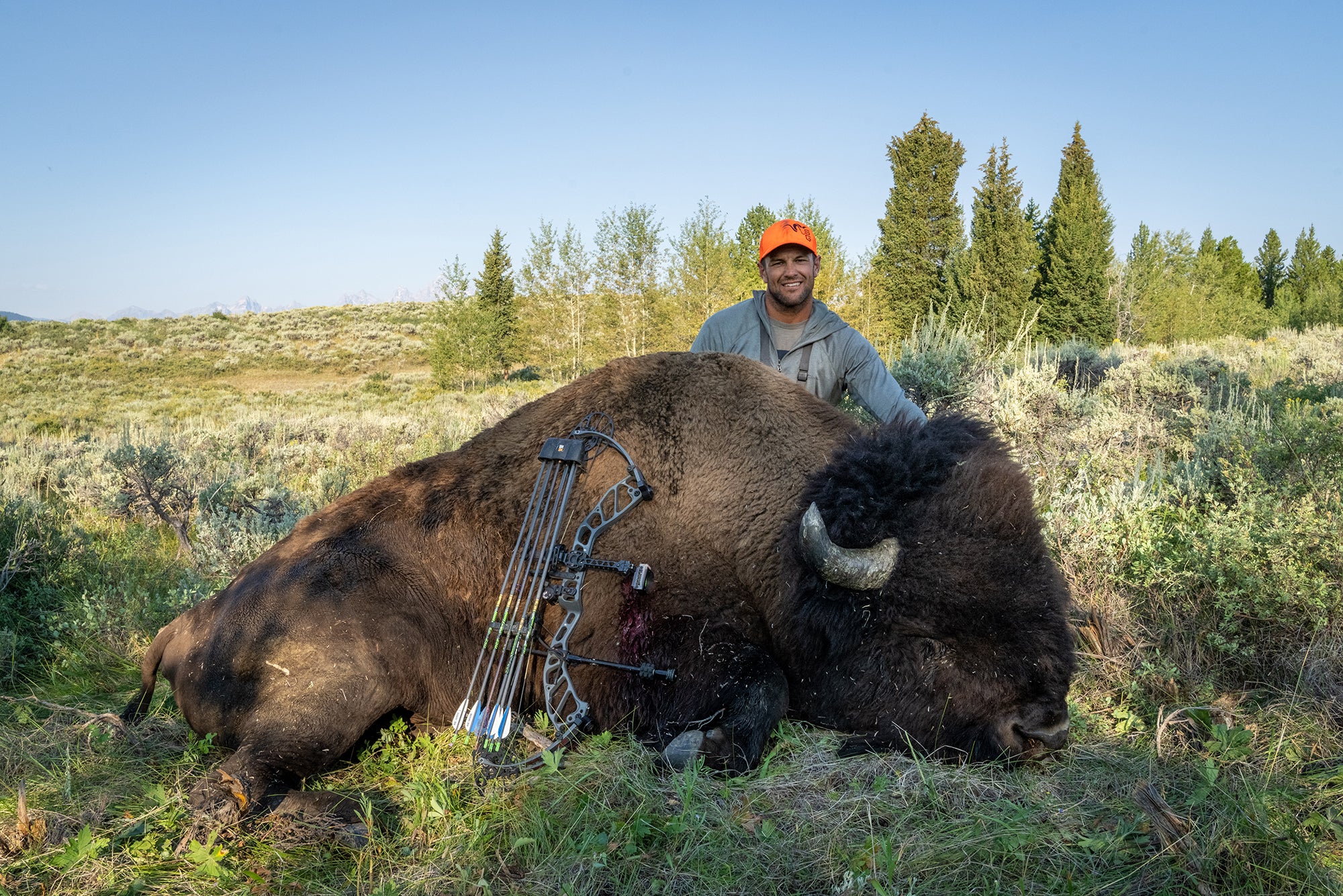 Archery bison hunt