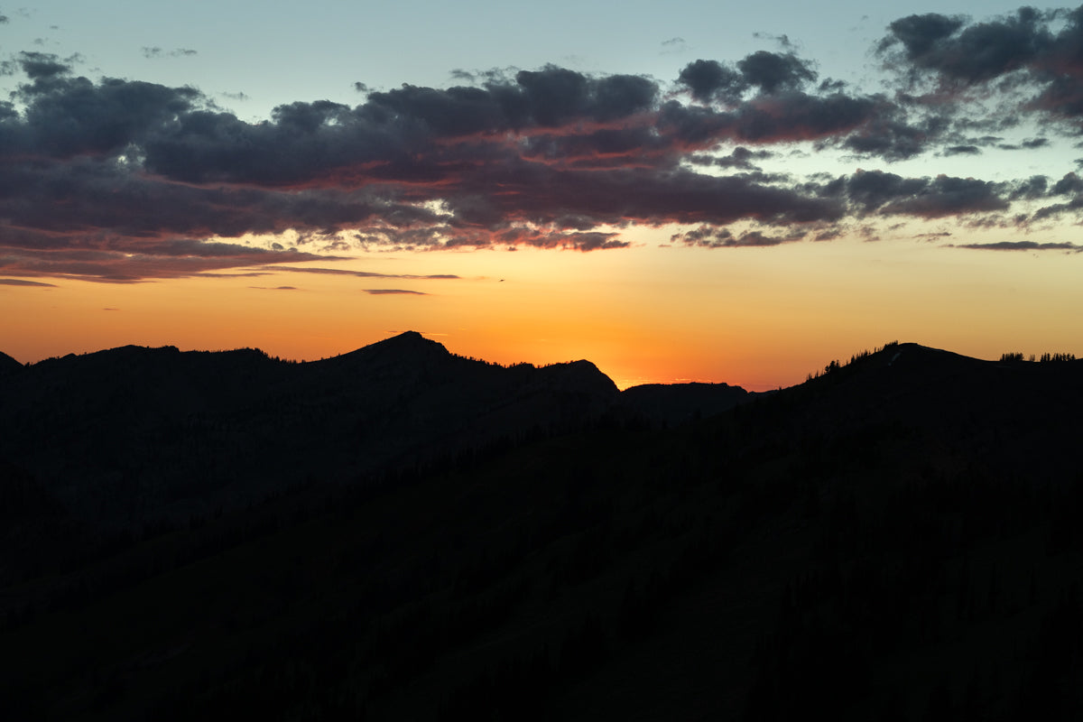 sunset in mountain mule deer country