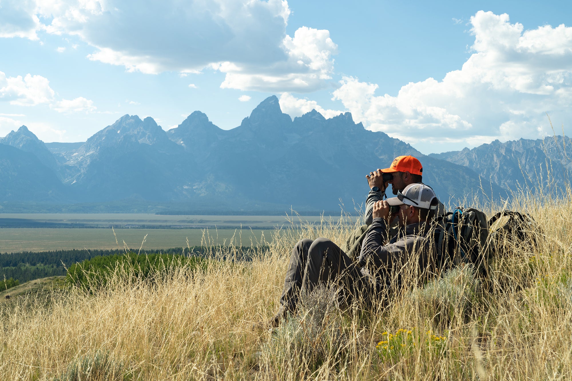 Archery bison hunt