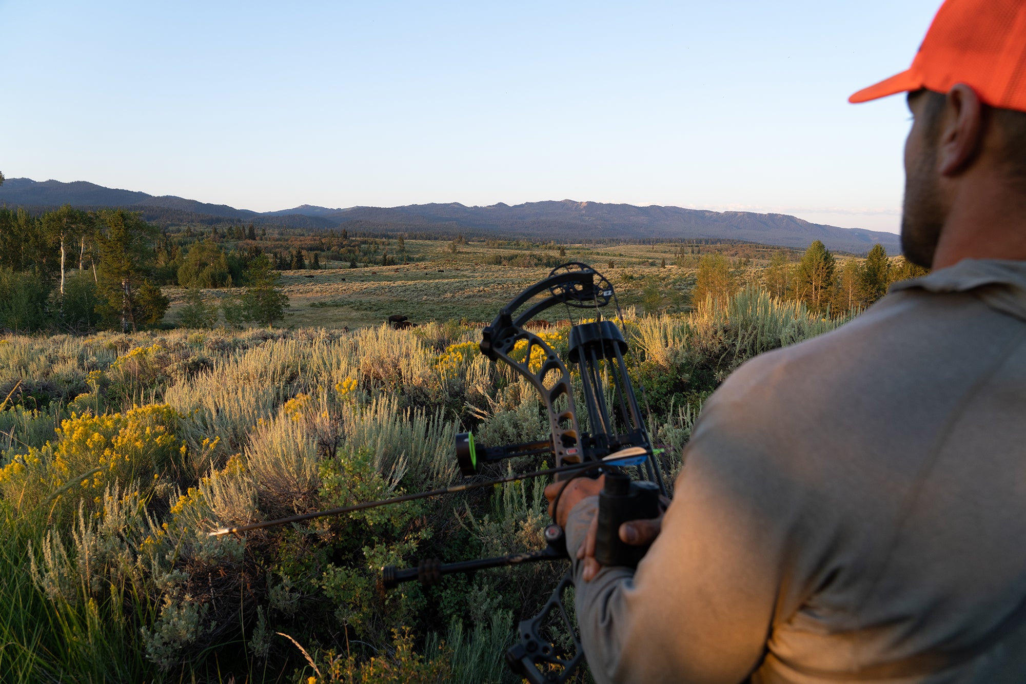 Archery bison hunt