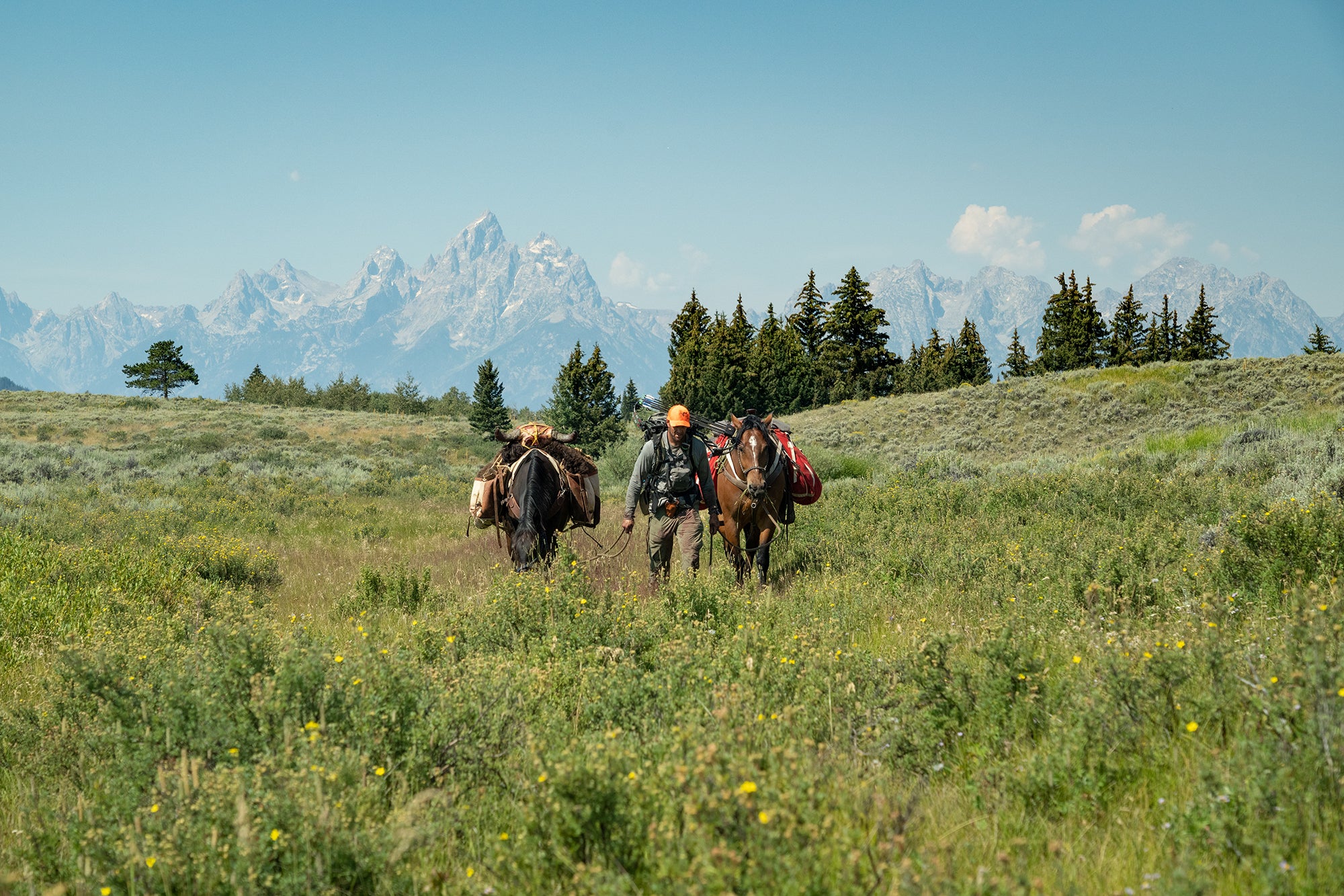 Archery bison hunt