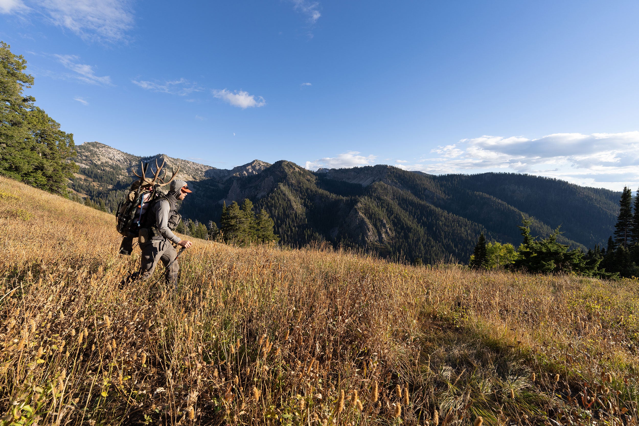 Hunter packing out mule deer buck in the mountains