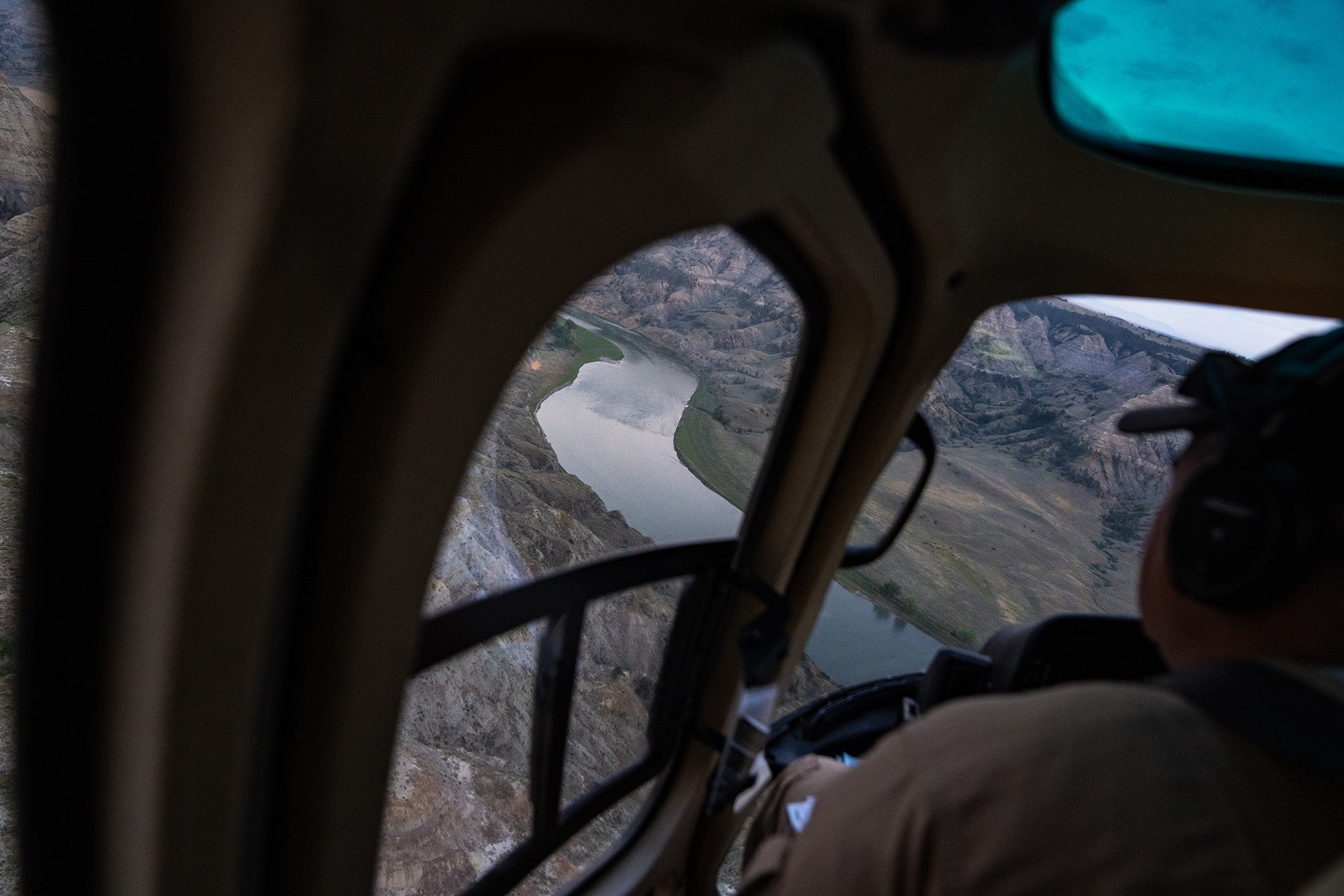 Bighorn sheep wildlife survey in the Missouri River Breaks