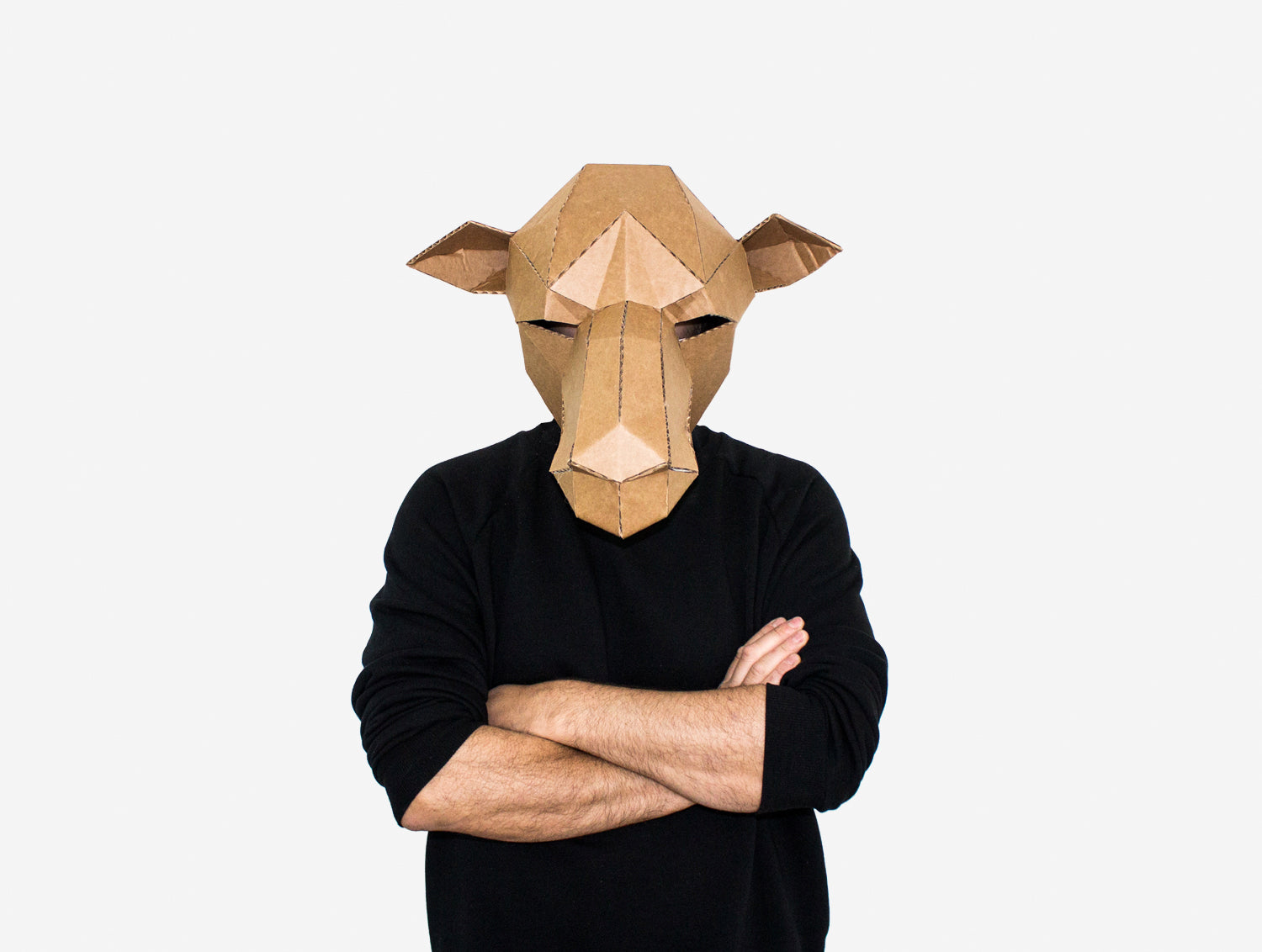 camel-mask-diy-paper-mask-template-lapa-studios