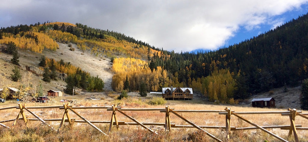 Aspen Valley, Colorado, leaves, fall, colors, travel, usa,