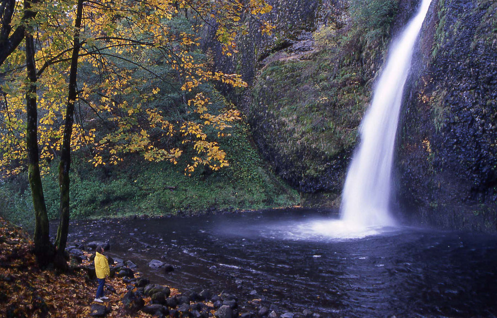 Columbia River Gorge, Oregon, autumn fall usa travel color