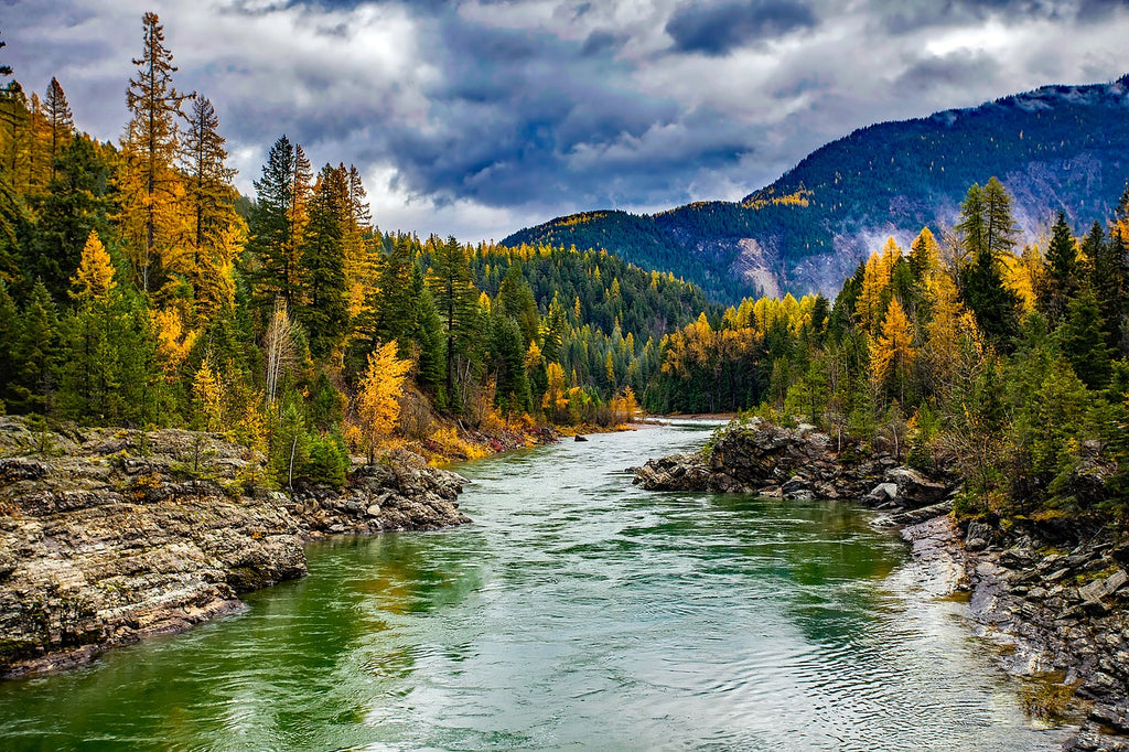 Glacier National Park, Montana, river fall colors leaves