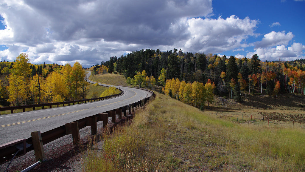 The Enchanted Circle Byway, New Mexico, fall, taos, colors, leaves