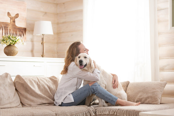 owner hugging her big white dog sitting on the sofa