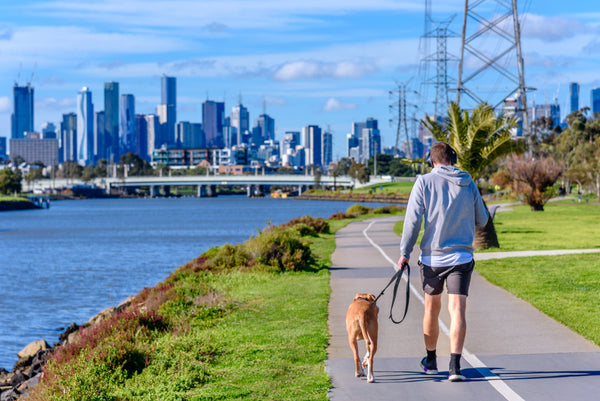 a man walking his dog along the Maribyrnong riverbank pathway in Melbourne, Australia