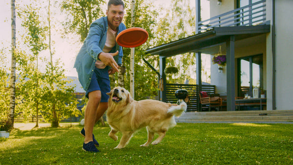 a man playing frisbee with a golden retriever