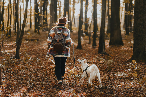 dog and owner walking in the forest