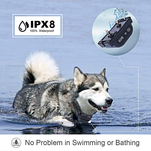 can dogs swim with invisible fence collar