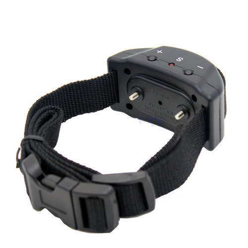 breakaway dog collar petsmart