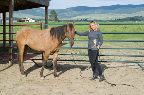 Justice Mustang Don Jessop