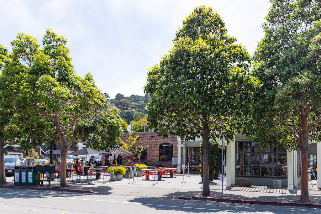 Sausalito Equator Cafe Street View | Sausalito Equator | Equator Coffees