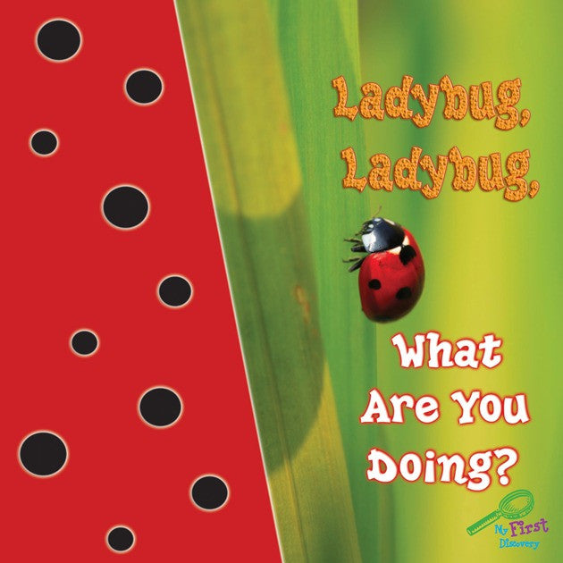 Ladybug Ladybug What Are You Doing Ebook Rourke