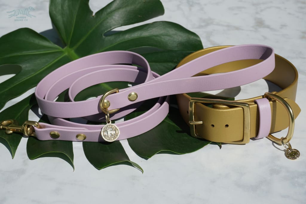 Biothane - Black Leash with Rose Gold Hardware