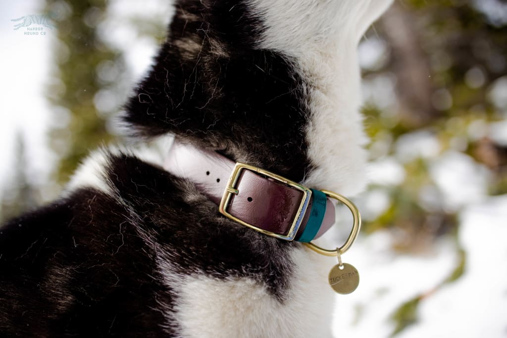 Harbor Hound Co. - HERMES 1.5 Gemstone Buckle Collar