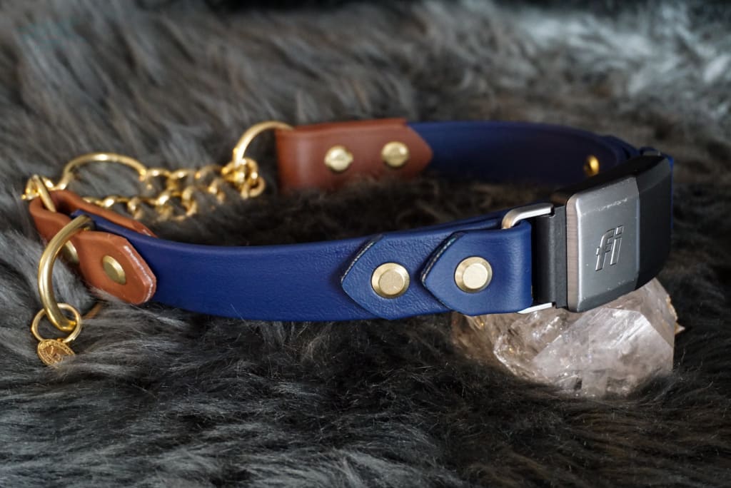 flat, quick release, martingale, & waterproof collars - Furchild