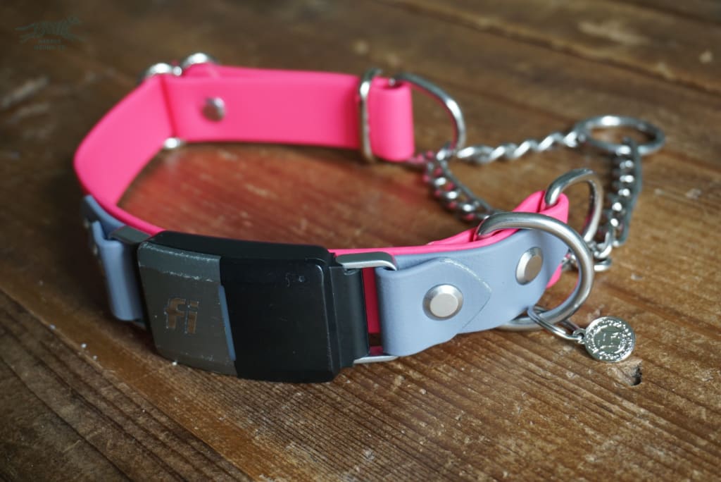 Adjustable leather clearance martingale collar