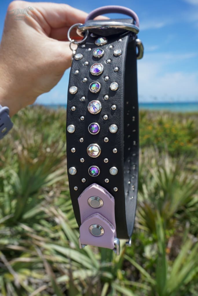 Fi Compatible VALHALLA 1.5 Crystal Studded Buckle Collar