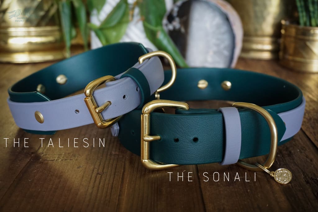 Harbor Hound Co. - HERMES 1.5 Gemstone Buckle Collar