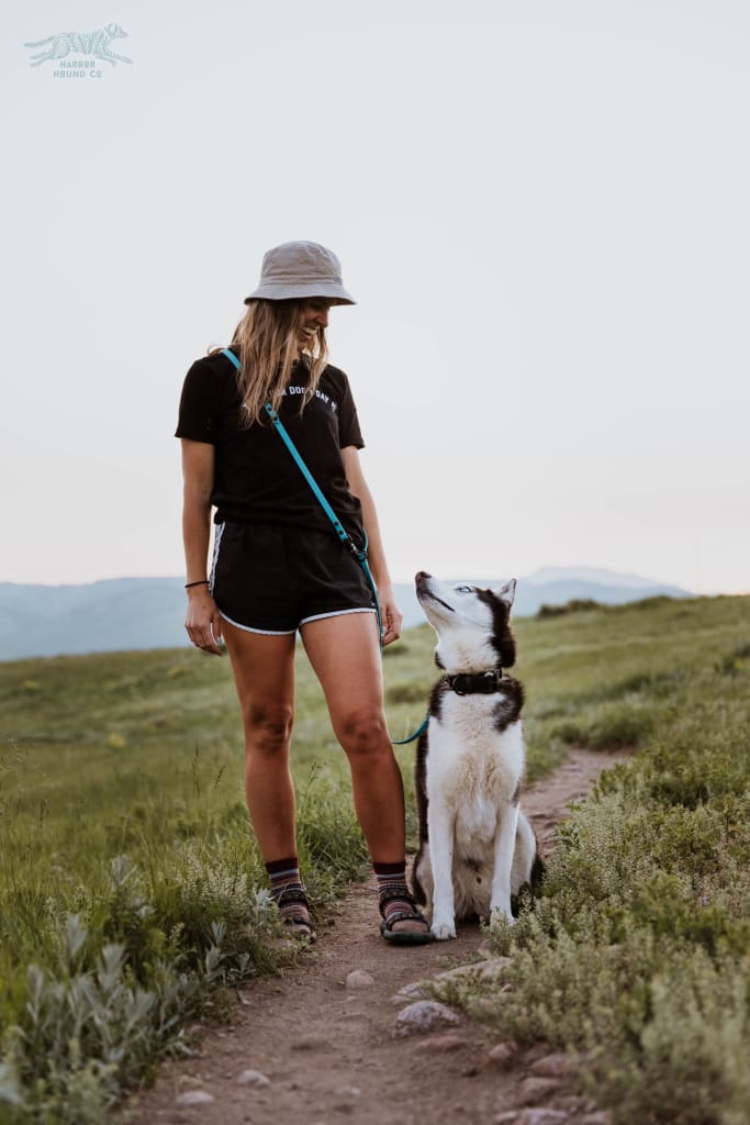 Seattle Sports Multi-Leash