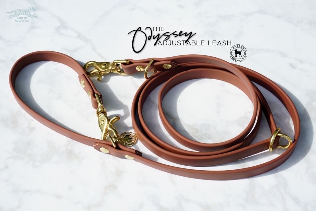 Change Hardware: customize the leash snap on your leash order - Bold Lead  Designs