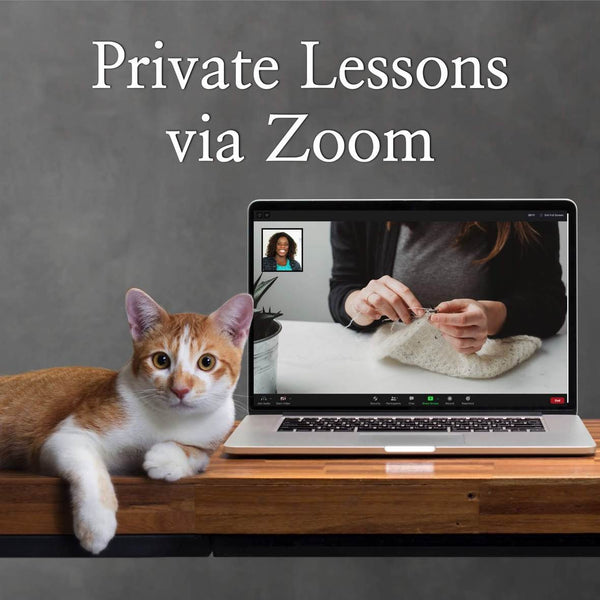 zoom lessons