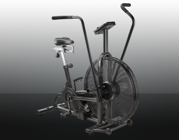 assault fitness bike