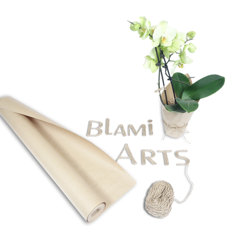 Blami Arts