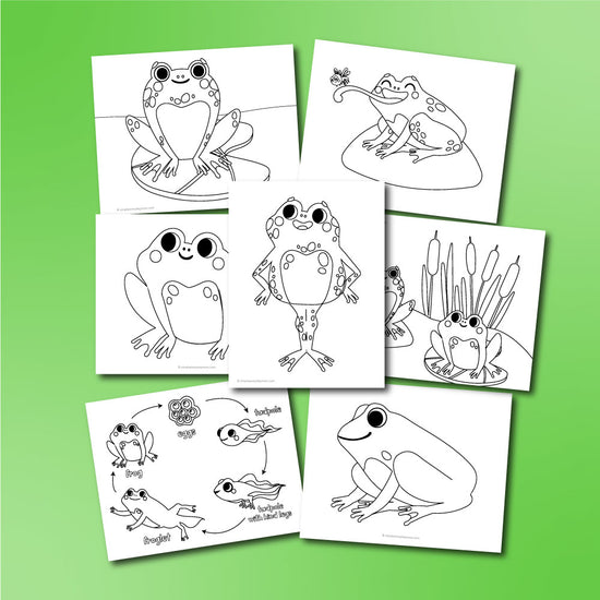 Easy Frog Drawing for kids step by step | How to draw frog - YouTube