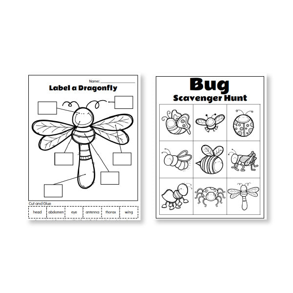 Insect Worksheet 1st Grade