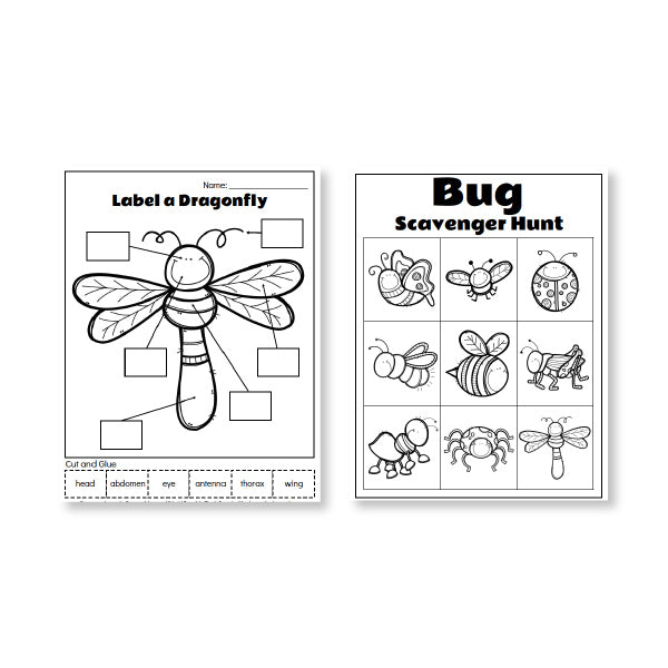 Insect Worksheets For Kids – Simple Everyday Mom