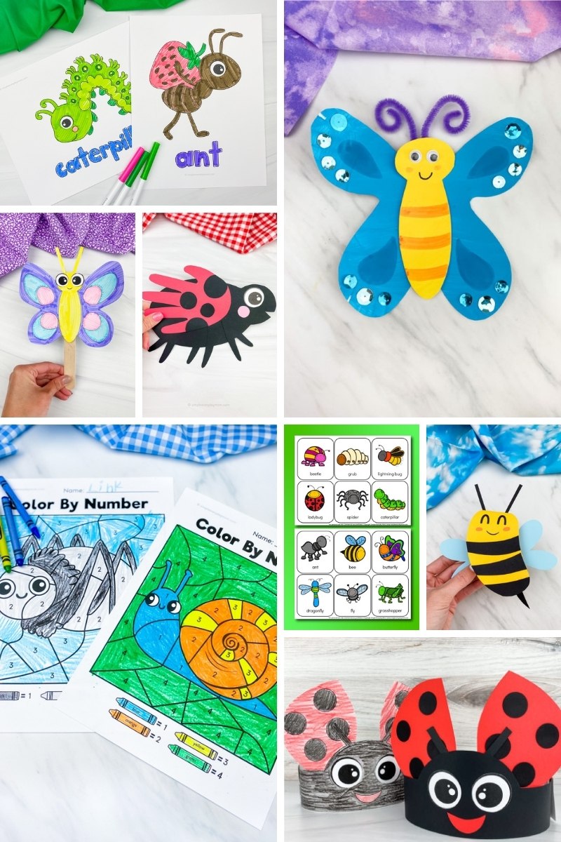 Insect Activities For Kids | Simple Everyday Mom | Reviews on Judge.me