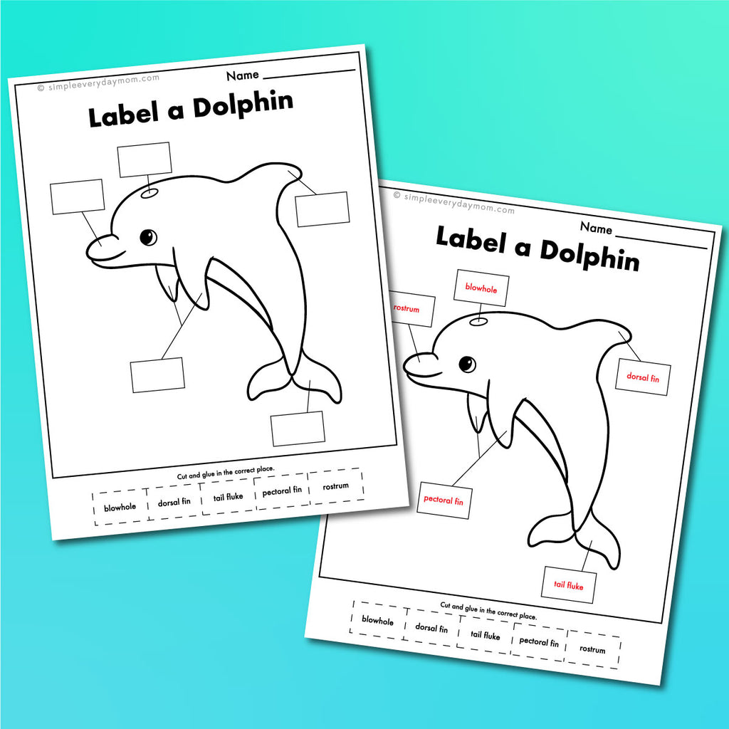 Ocean Animal Worksheets – Simple Everyday Mom